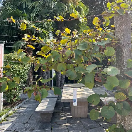Casa Magnolia Villa Mendrisio